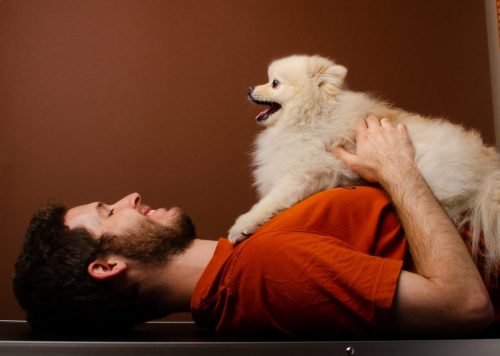 pet-shot