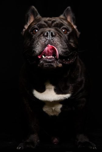 DSC_6110-Edit